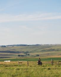 Rider At The Gate